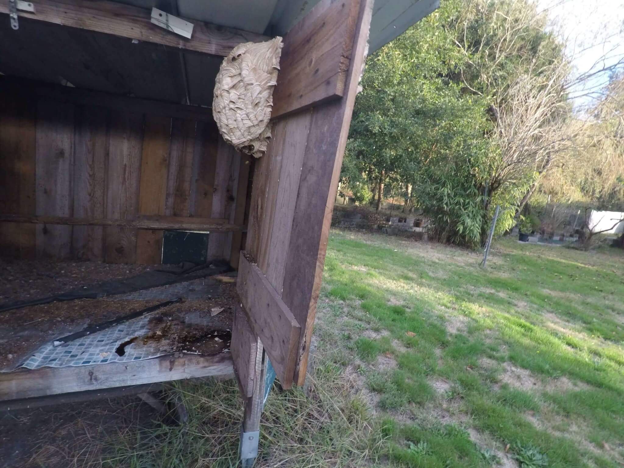 Nid de Guepes sur portes 2 GGF destruction de nid de frelons en Gironde 