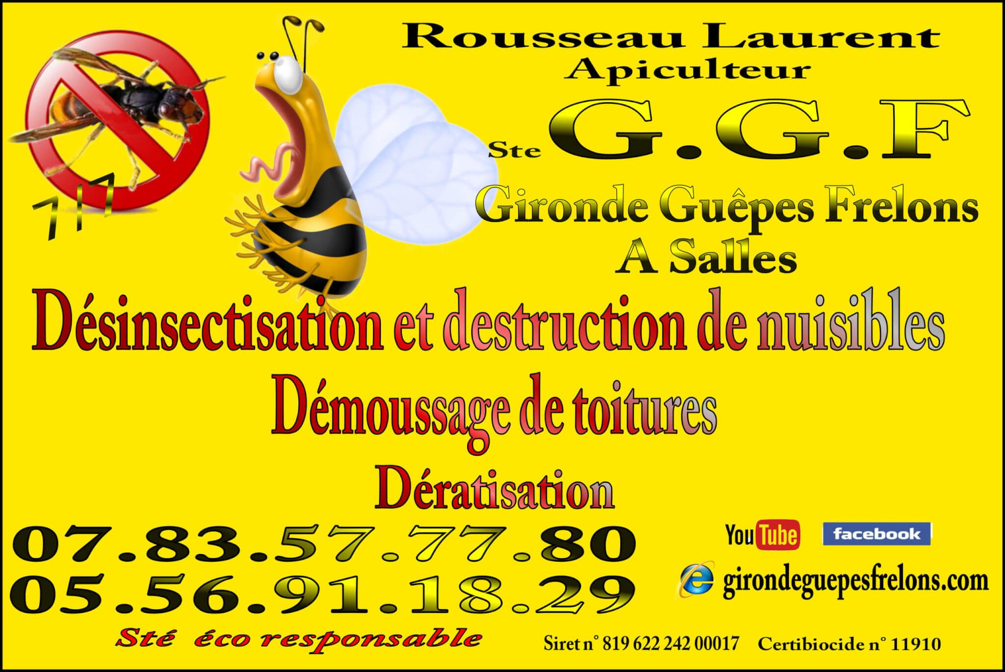  Gironde Guêpes Frelons en 2016 