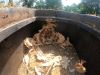 Nid de Guepes camion GGF destruction de nid de frelons en Gironde 