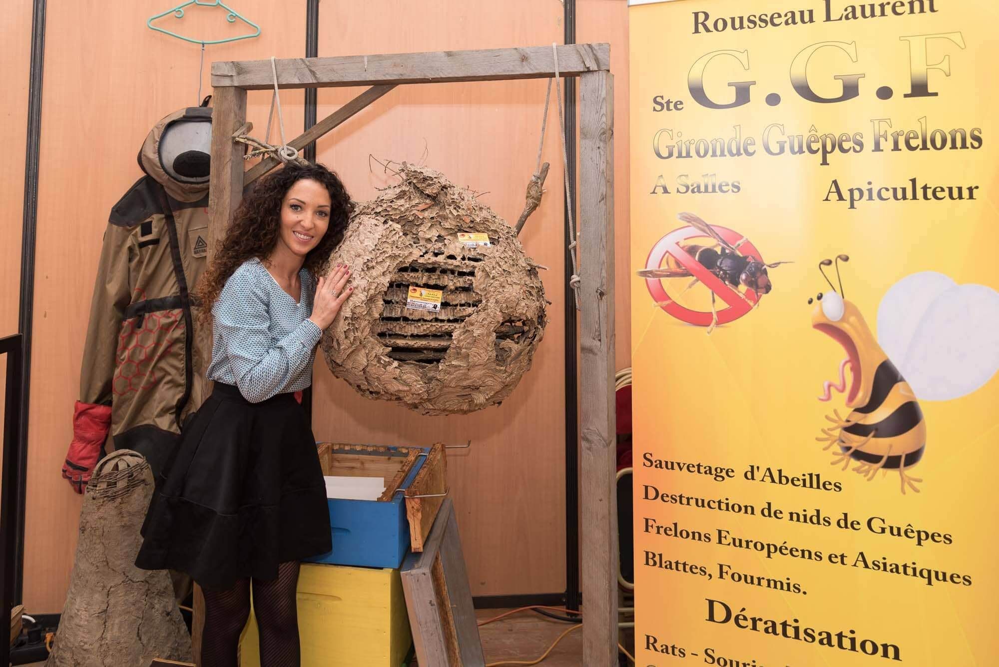 Guepes GGF destruction de nid de frelons en Gironde 