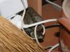 Nid de Guepes GGF destruction de nid de frelons en Gironde 